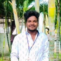 Pilli Pavan