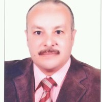 Mohamed Elsaeed