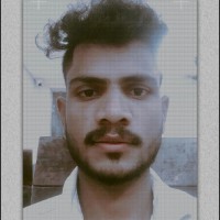 Dm Vastavik