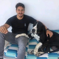 David Semper Fernandez