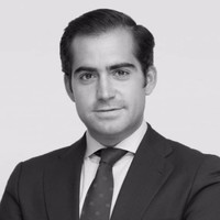 Álvaro Del Castillo Riba