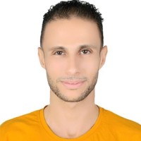 mahmoud elsunty