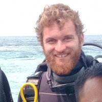 Max Steffensen