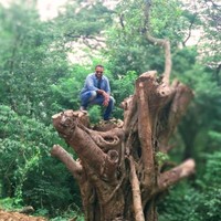 Shashank Bhat