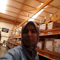 Saida Elfanidi