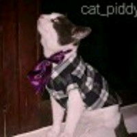 Pets Of World
