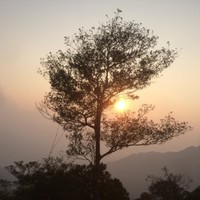 Hoàng Dũng