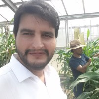 Ikram Khan