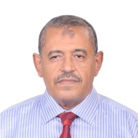 Adel Mahmoud