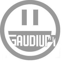 gaudium consultoria