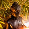 Mohan Bist