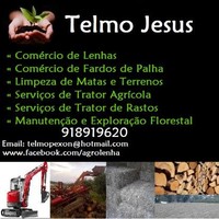 Telmo Jesus