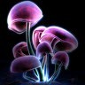 Psytrance Baerle