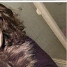 Yasmina Maroccain