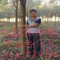 李东斌
