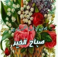 Muhammad Faizan