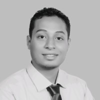 Sherif Shaheen, Msc