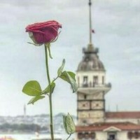 Suat Baycik
