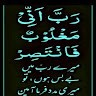 Muhammad Abdul Rauf Awan