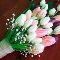 Zainab Naveed