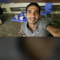 Elsayed Gamal Shalaby