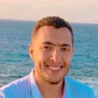 Mohamad Afifi, Msc
