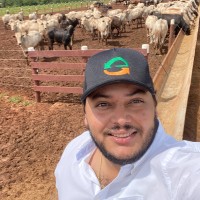 Ítalo Peres Assis Lima