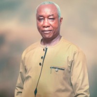 Samuel I. Okwu - CPA, FNIM, FIMC