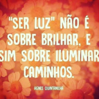 Selma Ribeiro Mendes De Andrade