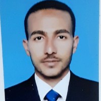 محمود المنشاوى