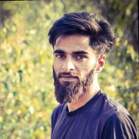 Aarif Hussain