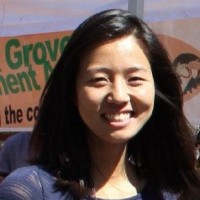 LI Jing
