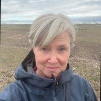 Anna Henricsson