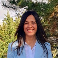 Feyza Demetgül Akkoyunlu