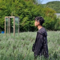 Trương Hoài Phong