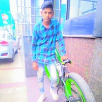 Viki Pal