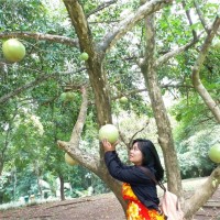 Kartika Ayu Ningtias