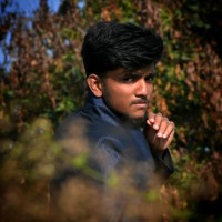 Shree Praveen