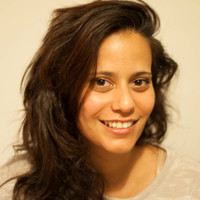 Adi Manzur Edlis