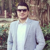 karim abdelghany ,CA