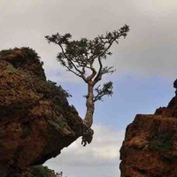 Bachir Oulad Ali