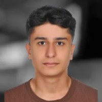 Ali Ozgur Cakmak