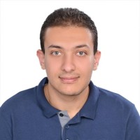 Essam Berikaa