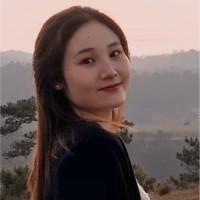 Hoang Ha