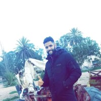 Mohammed Naqous