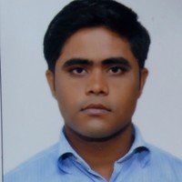 Raman Roy