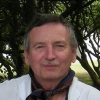Alberto R. Gutiérrez Pleimling