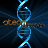 Steamweaver Productions