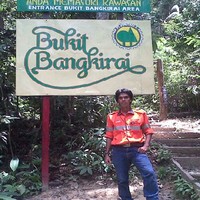 teo hermansyah