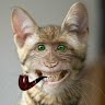 матвей королев
